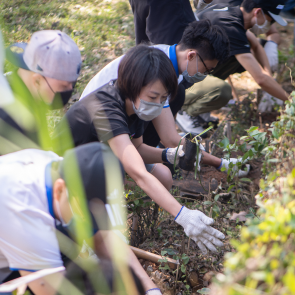 Environmental Activism