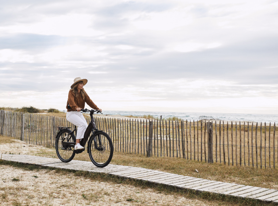 Mobilizing for DEI 副圖